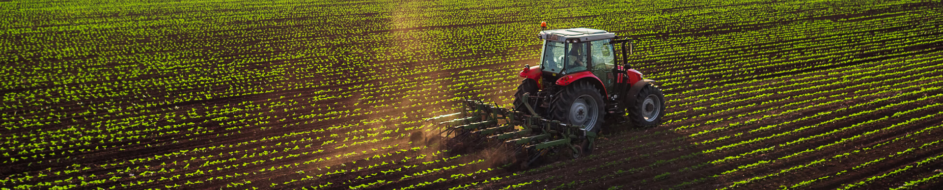 Formation agricole à distance